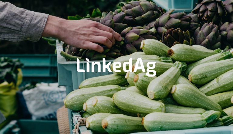 LinkedAg agriculture branding and web application project